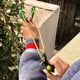 thumbnail image 4 of Banda de tubo de tirachinas de látex suave natural de alta elasticidad de 1 / 3 / 5M para tiro de caza(1m), 4 of 9