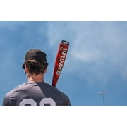 Easton Quantum (2 5/8 Barrel) BBCOR Baseball Bat | 32 | -3