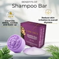thumbnail image 2 of Lion Locs 3-in-1 Dreadlock Shampoo Bar & Conditioner for Locs, Dreads & Natural Hair, 2 of 8