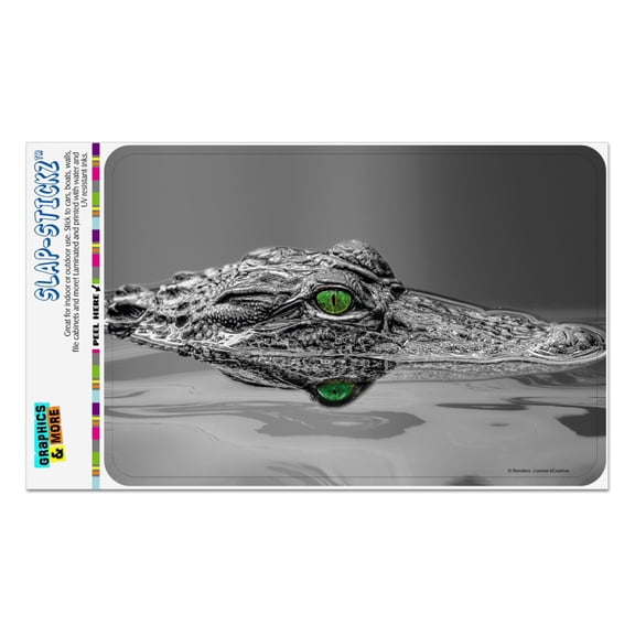 Alligator Black and White Green Eyes Home Business Office Sign