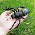 thumbnail image 4 of Insect Simulation Model Toys Simulation Wildlife Model Ornaments Creepy Lifelike Fake Spiders Cricket Ladybug Grasshopper Ant Dragonfly Realistic Inse, 4 of 4
