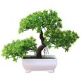 thumbnail image 1 of Bienvenida Pino Bonsai Simulación Planta en maceta artificial Adorno Decoración para el hogar Verde Fokelyi MZQ-0908-1, 1 of 7