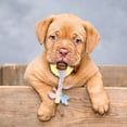 thumbnail image 5 of Durable Interactive Dog Chew Toy for Aggressive Chewers Long Lasting Bone Design Promotes Health and Playful Engagement for All Sized Dogs, 5 of 5