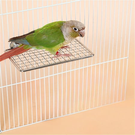 Parrot Stand Toy Mesh Stainless Steel Training Platform Play for Parakeet/Cockatiel/Budgie/Lovebird