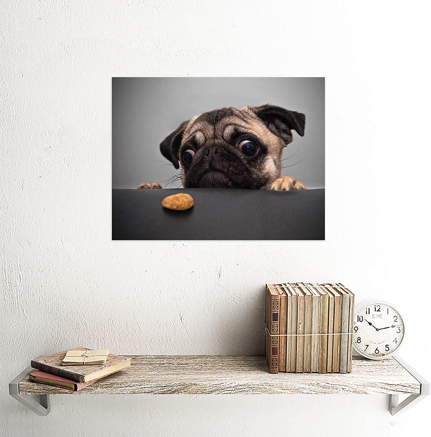 Animal Portrait Protograph Cute Pug Funny Pet Dog Looking at Bisquit Treat  Picture Art Print Framed Poster Wall Decor 12x16 inch - Walmart.com