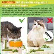 HavenJanny 50g Freeze-Dried Chicken Cat Grass Teething Stick - Edible Cat Treats for Teeth Cleaning & Hairball Removal