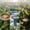 A, variant on Copper Disc Bird Pond Cleaner, Natural Algae Preventer, Copper Pond Cleaner, Eco Friendly Pond Treatment, Chemical Free Pond Cleaner, for Bird Pond Bird Bath Water Feature Garden Fountain Bird