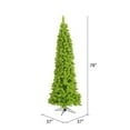 thumbnail image 2 of Vickerman 6.5' Flocked Lime Fir Artificial Christmas Tree, Unlit, 2 of 2