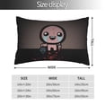 thumbnail image 2 of Lsque The Binding of Isaac Pattern Bedding Waterproof Pillow Protector Zippered Queen – Bed Bug Proof Pillow Encasement-14"x20", 2 of 6