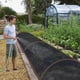 thumbnail image 4 of Paño para sombra: red de malla para sombra de jardín con ojales, cubierta para sombrillas para exteriores, para plantas, pérgola, patio, invernadero, gallinero (6,6 x 9,9 pies), 4 of 5