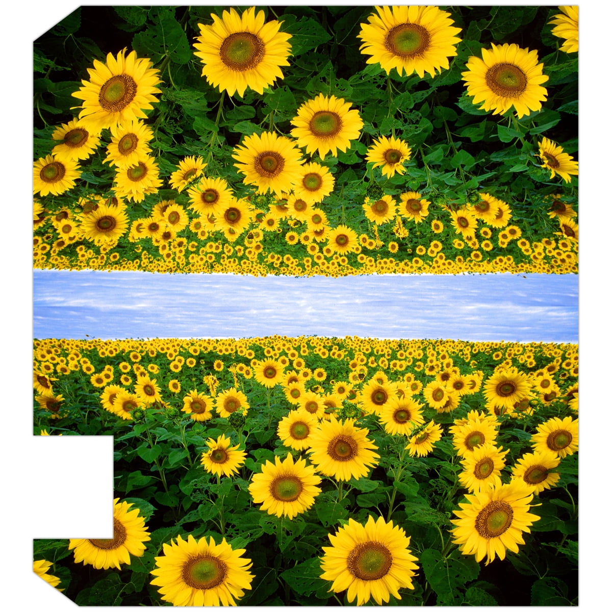 VWAQ Sunflower Home Mailbox Covers Magnetic House Decor - 25.5"H X 20.75"W MBM48