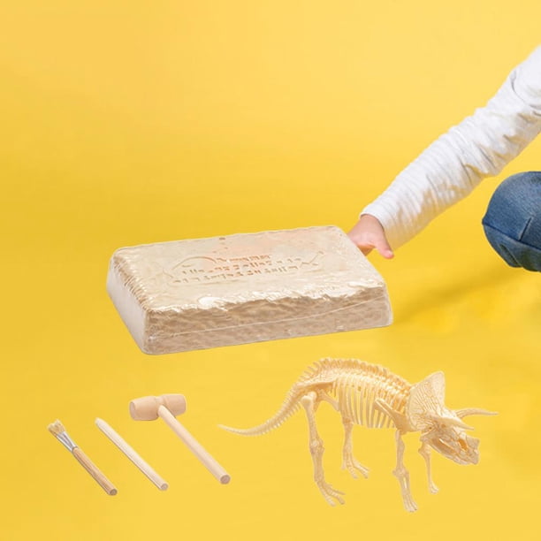 Kit de excavación de dinosaurios perfecl juguete educativo para niños modelo de ensamblaje 25,8x19x4,5 cm