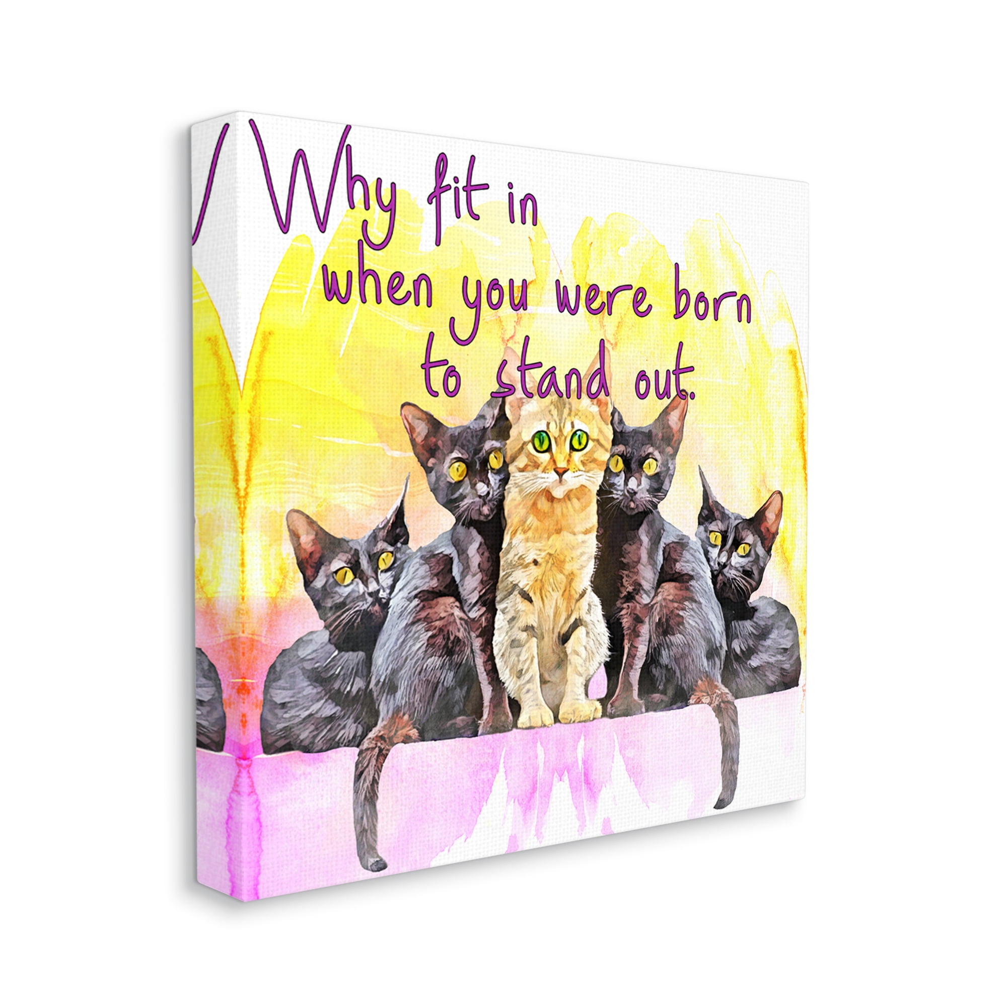 Stupell Born To Stand Out Cats Pet Phrase Animals & Insects Painting Gallery Wrapped Canvas Print Wall Art