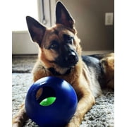 Jolly Pets Puncture Resistant Teaser Ball with Inside Ball, Blue