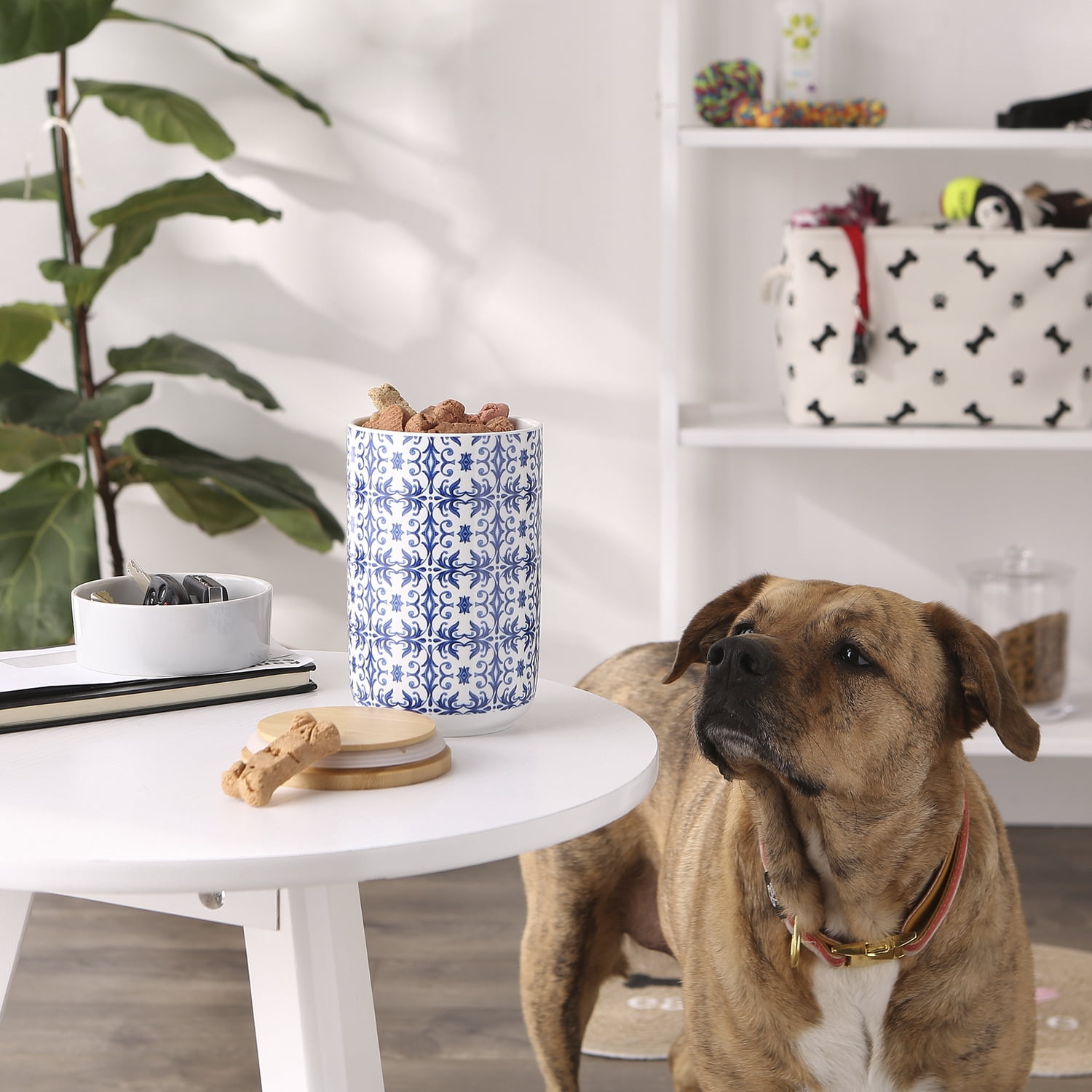 Bone Dry Ceramic Pet Treat Canister, Dishwasher Safe, 4x6.5", Blue Tile