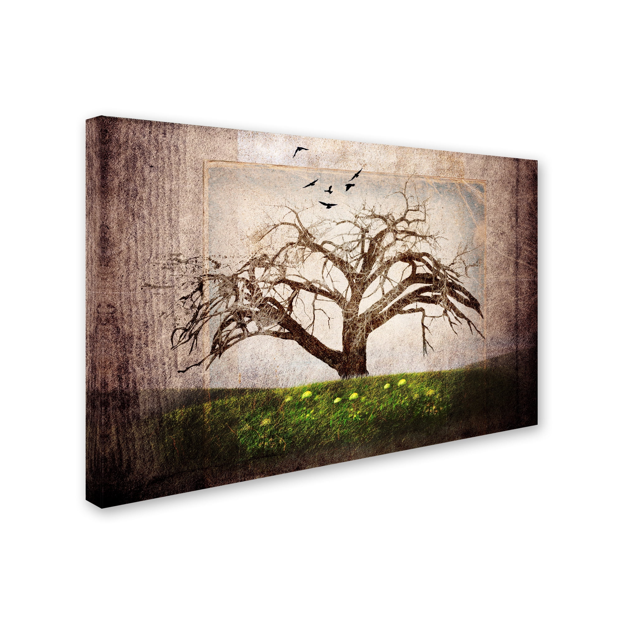 Trademark Fine Art 'Cottonwood Tree Part 03' Canvas Art by LightBoxJournal