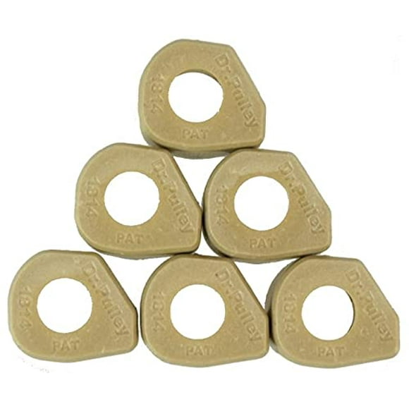 Dr. Pulley 18x14 Sliding Roller Weights 16 Gram