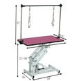 thumbnail image 2 of 42.5INCH HYDRAULIC PET GROOMING TABLE WITH "H" ARM PINK, 2 of 16