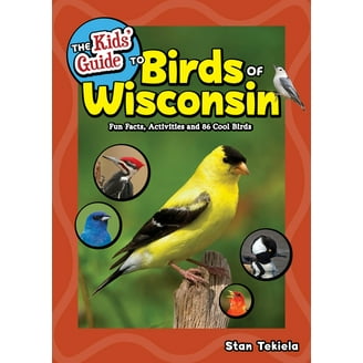 A Kid's Guide To Bird-Watching On The Playground Equipment And In The Park - Foto 9