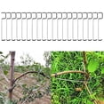 thumbnail image 2 of MYG 20× Fruit Tree Branch Limb Spreader Reuseable Wire for Garden Branch Spreader, 2 of 4