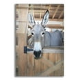 thumbnail image 1 of Epic Art 'Curious Donkey' by Lori Deiter Acrylic Glass Wall Art, 12"x16", 1 of 8