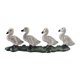 thumbnail image 1 of Figura de pato de PVC en miniatura, decorativa y realista, modelo de animal, para coleccionar. 8cm x 3cm, 1 of 9