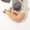 A1, variant on Pet Hair Keepsake Box, Magnetic Closure Storage Box for Pet Memorial Organizer