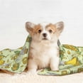 thumbnail image 4 of Disketp Corn And Corn Oil Dog Blanket/Bed Cover for Dogs and Cats,Puppy Essentials-Small, 4 of 8