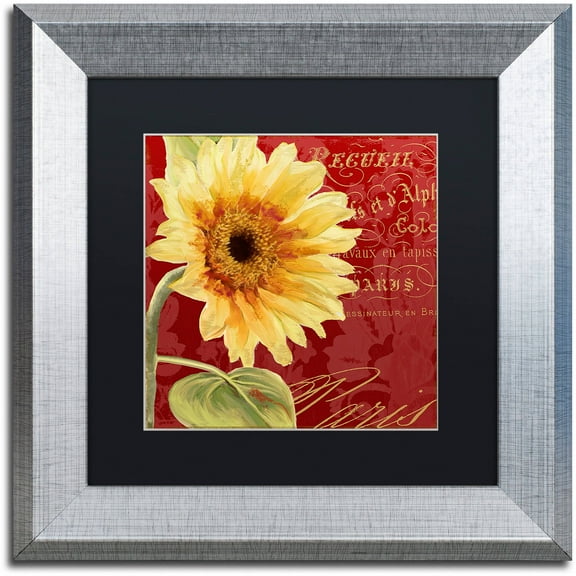 Trademark Fine Art "Ete IV" Canvas Art by Color Bakery Black Matte, Silver Frame