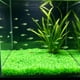 thumbnail image 4 of Pequeñas piedras romboidales que brillan en la oscuridad para sustrato de jardín y acuario: piedras fluorescentes luminosas para decoración nocturna, paisajismo acuático y detalles de caminos., 4 of 6