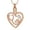 Rose Gold, variant on Stethoscope Urn Necklace for Ashes Heart Cremation Jewelry for Women Men Stainless Steels Memorial Ashes Necklace Keepsake Gift