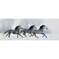 thumbnail image 2 of Bolokofsky, Ronald 18x9 Black Ornate Wood Framed with Double Matting Museum Art Print Titled - Winter Run, 2 of 4