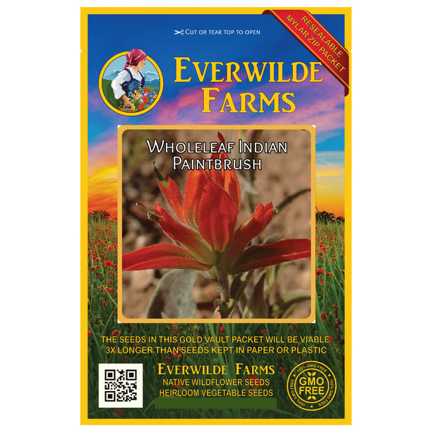Everwilde Farms 1000 Wholeleaf Indian Paintbrush Native Wildflower