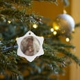 thumbnail image 7 of 3drose, Japan, Nagano, Jigokudani, Snow Monkeys-as15 Rti0455 - Rob Tilley, 3 inch Snowflake Porcelain Ornament, 7 of 7