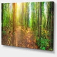 thumbnail image 2 of Dense Forest Panorama - Impression sur Toile Paysage, 2 of 4