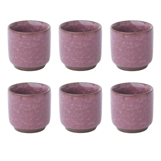 Macetas de cerámica Advancent 6 piezas Mini Cactus rojo