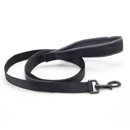 Vibrant Life Padded Anti-Shock Dog Leash, Black, Large,