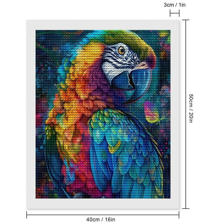 Parrot 50cm 20in Adult Parrot 50cm 20in Adult