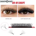 thumbnail image 3 of DEERCAND cilios 8d Extensión De Pestañas En Forma De W Con Dos Puntas 4d Prefabricado Ventilador Producto De Maquillaje De Visón Postizas, 3 of 3