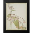 thumbnail image 2 of Overbeck, Hannah Borger 12x14 Black Modern Framed Museum Art Print Titled - Beef Begonia, 2 of 5