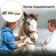 thumbnail image 5 of Paquete de 10 Durvet Duramectin Pasta Desparasitante para Equinos - 3 Tubos Caducidad Julio 2026 - EN ST NUEVO Mejor, 5 of 7