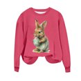 thumbnail image 4 of Womens Blouses Long Sleeve Clearance Easter Women's Round Neck Raglan Sleeves Printed Long Sleeved Top Hoodie, 4 of 4