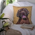 thumbnail image 3 of Carolines Treasures SC9127PW1414 Labrador Wipe your Paws Fabric Decorative Pillow, 14Hx14W, multicolor, 3 of 4