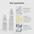 thumbnail image 4 of 345 Crema en Niebla Calmante Hidratante 100ml, Spray Facial para Todo Tipo de Piel, 4 of 5