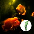 thumbnail image 2 of 1 adorno de coco artificial para acuario grande (verde), 2 of 7