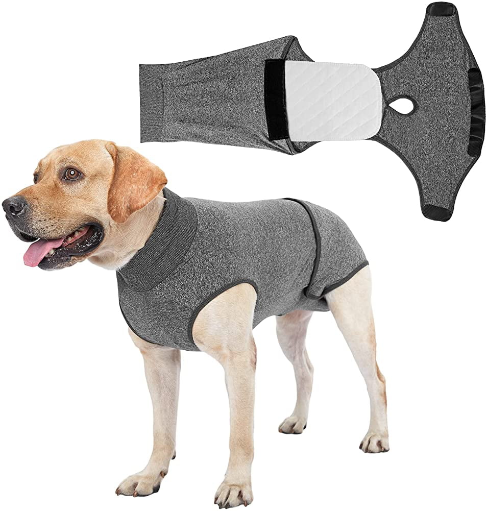 Qucyy Washable Female Dog Diapers. Reusable Diaper Wraps for Female