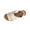 Beige Sandals for Women, variant on Hopeusnice Women's Sandals Non-Slip Breathable Flat Heel Peep-Toe Soft PU Materials Summer And Fall Shoes Trendy Round Toe Shoes for Beach Round Toe Outdoor Shoes Beige 38