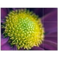 thumbnail image 1 of Flower Picture Ceramic Tile Mural Kitchen Backsplash Bathroom Shower 404929-XL43, 1 of 3