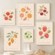 thumbnail image 5 of Pintura en lienzo de arte de pared con diseño de pomelo, frambuesa, cereza, plátano y limón, carteles nórdicos e impresiones, imágenes de pared para decoración del hogar y la cocina, 5 of 5