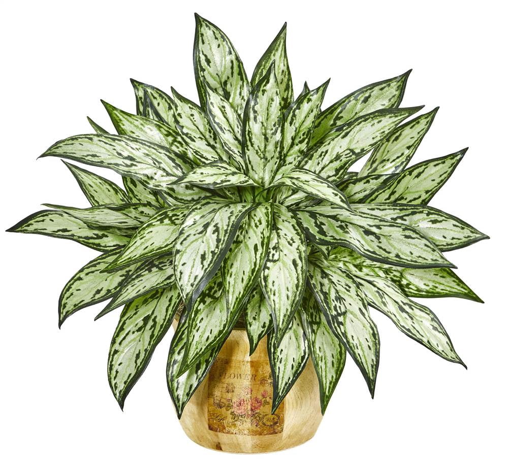 17 Silver Queen Artificial Plant in Decorative Planter (Set of 2)